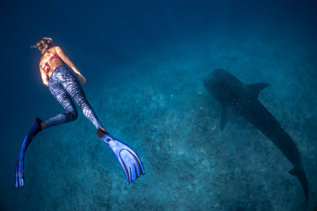 Scuba Diving Cancun