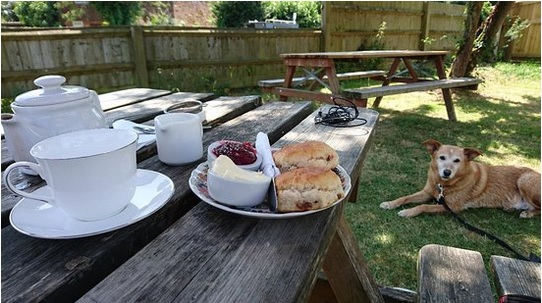 Aldermaston Tea Rooms - OneTravelGirl