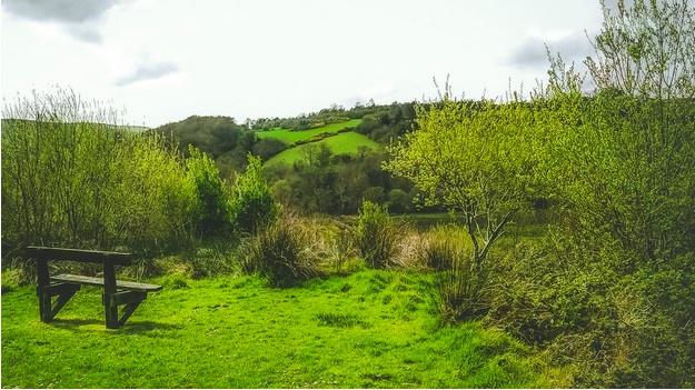 Strolling Around Northern Ireland