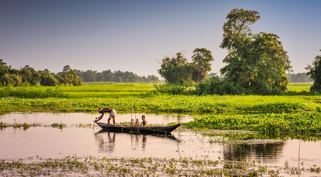 a boat in the lake with greenery