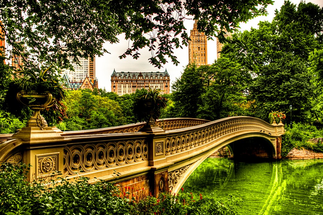 central park in nyc